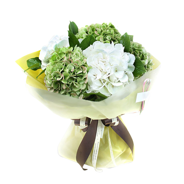 그리니쉬 꽃다발 - 꽃다발 생일 선물 프로포즈 전국꽃배달 장미 출산 수국