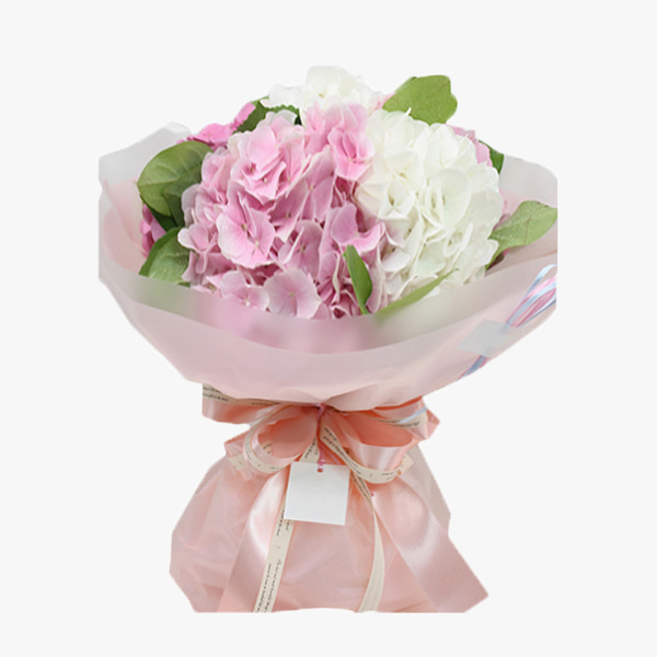 핑키핑크 꽃다발 - 꽃다발 생일 선물 프로포즈 전국꽃배달 장미 출산 수국