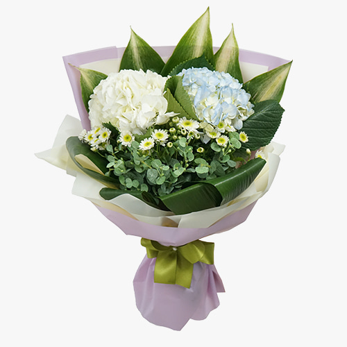 수국 꽃다발 - 꽃다발 생일 선물 프로포즈 전국꽃배달 장미 출산 수국
